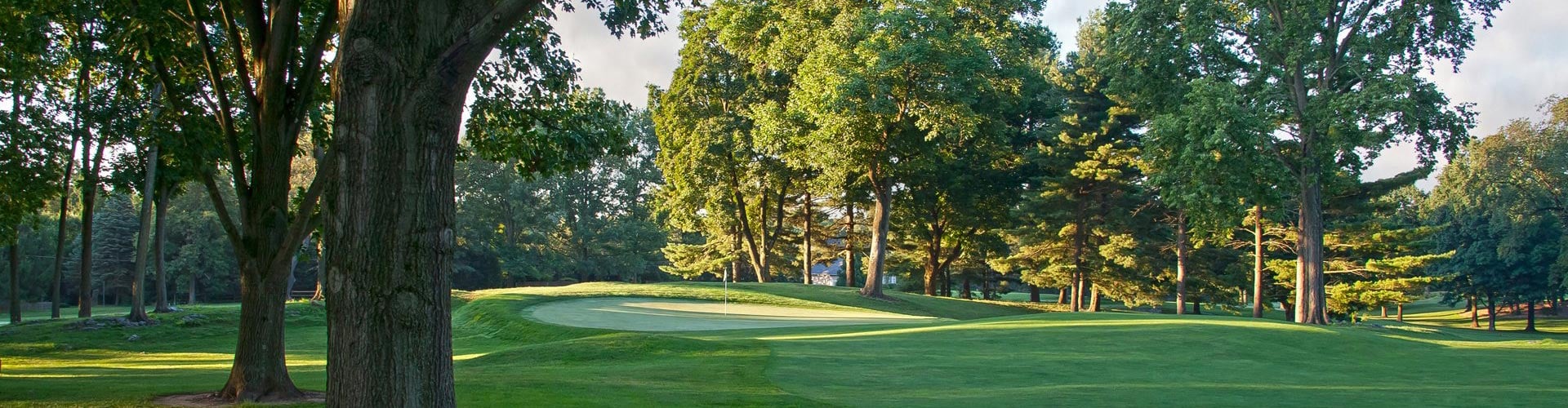 Golfers enjoying a round at Misty Woods